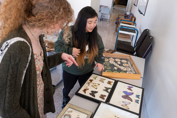 Two ladies viewing a butterfly display